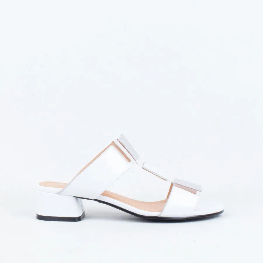 avatar_slide_16.webp Flat^Bresley NZ Avatar Slide