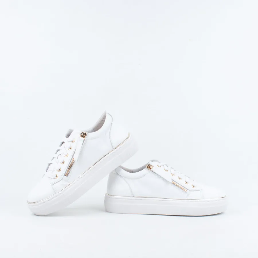 zack_sneaker_10.webp Lace Up^Gelato Zack Sneaker