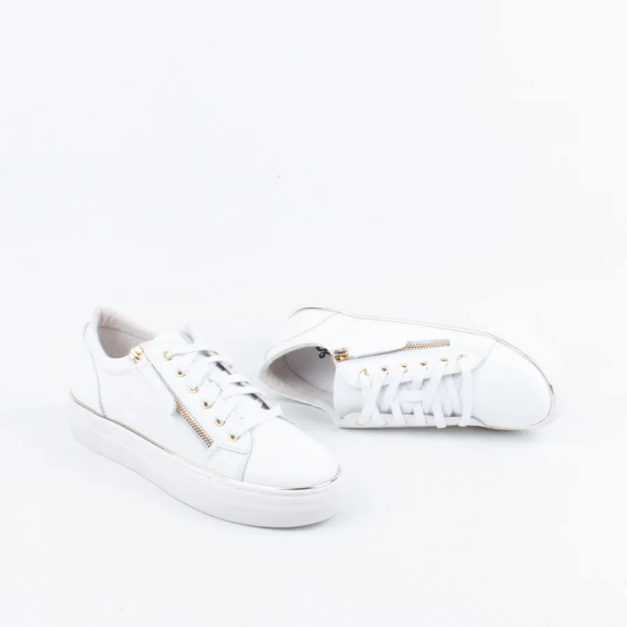 zack_sneaker_9.webp Lace Up^Gelato Zack Sneaker