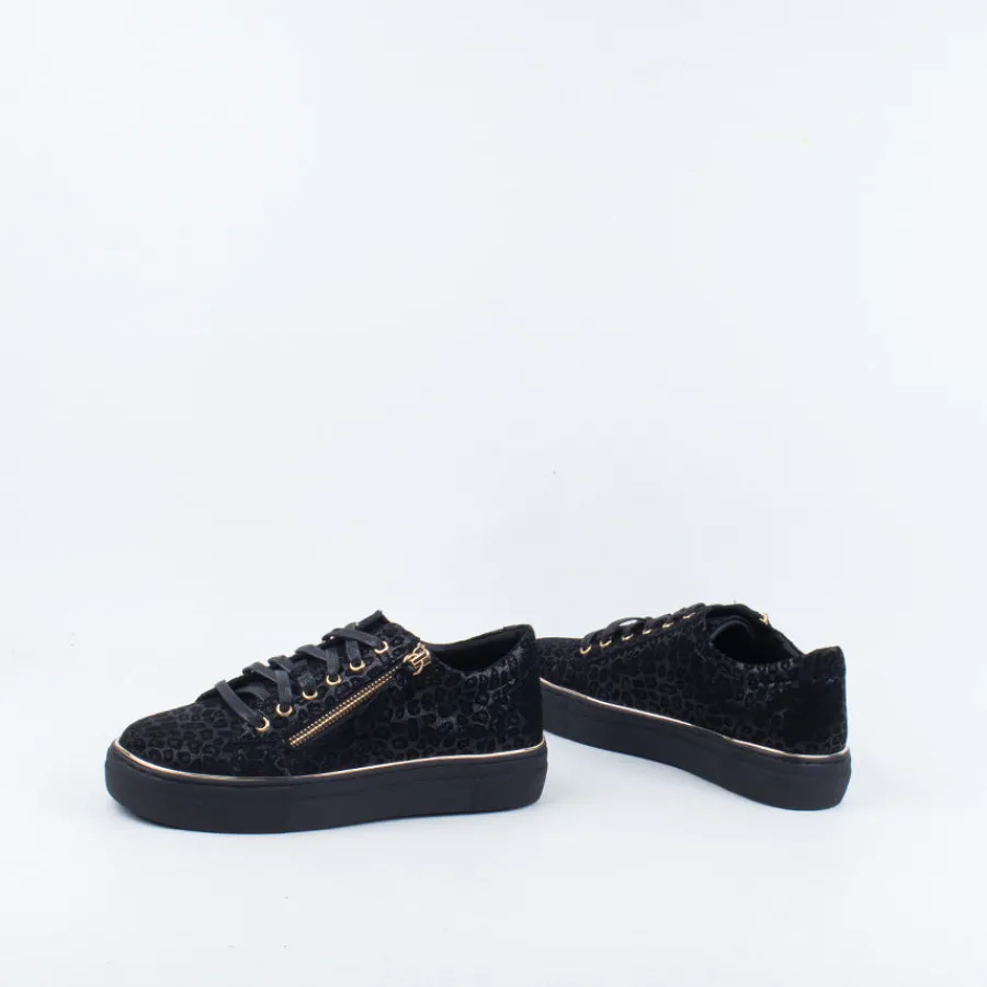zane_sneaker_2.webp Lace Up^Gelato Zane Sneaker