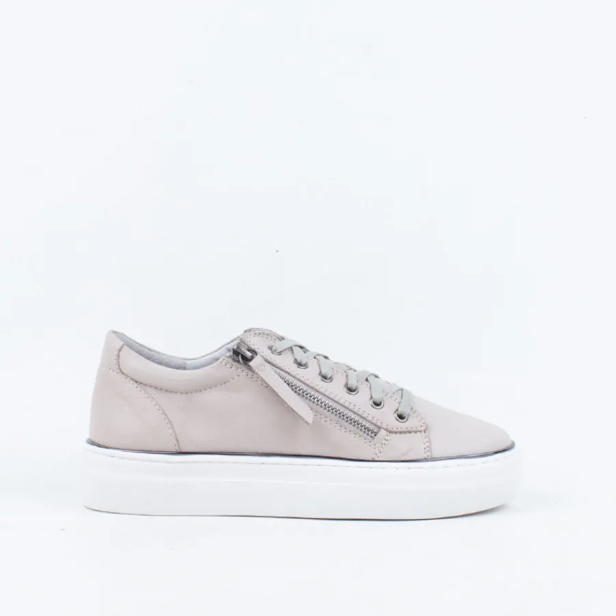 zane_sneaker_3.webp Lace Up^Gelato Zane Sneaker
